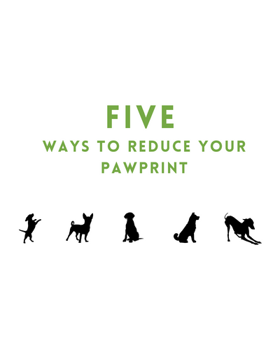 Five Ways to Reduce Your PawPrint