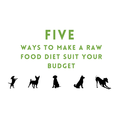 Five Ways to Make a Raw Food Diet Suit Your Budget