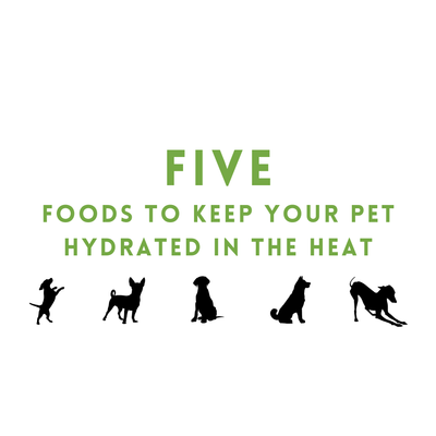 Five Foods to Keep Your pet Hydrated in the Heat