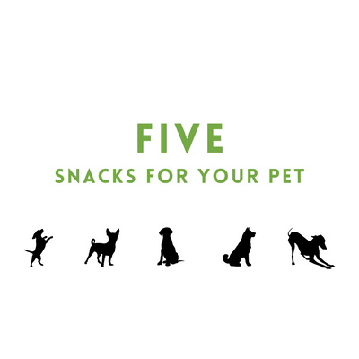 Five Snacks For Your Pet