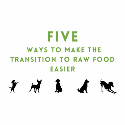 Five Ways to Make the Transition to Raw Food Easier