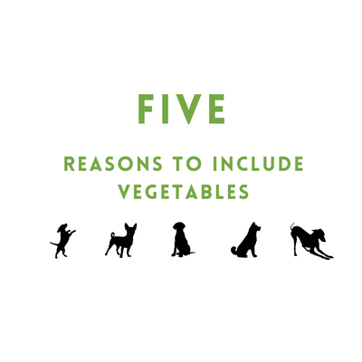 Five Reasons to Include Vegetables