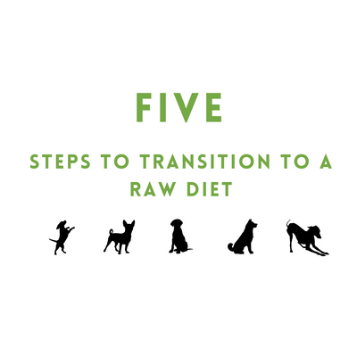 Five steps to transition to a raw diet