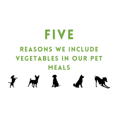 Five Reasons We Include Vegetables In our Pet Meals