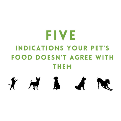 Five Indications Your Pet's Food Doesn't Agree With Them