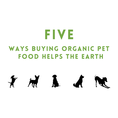 Five Ways Buying Organic Pet Food Helps The Earth