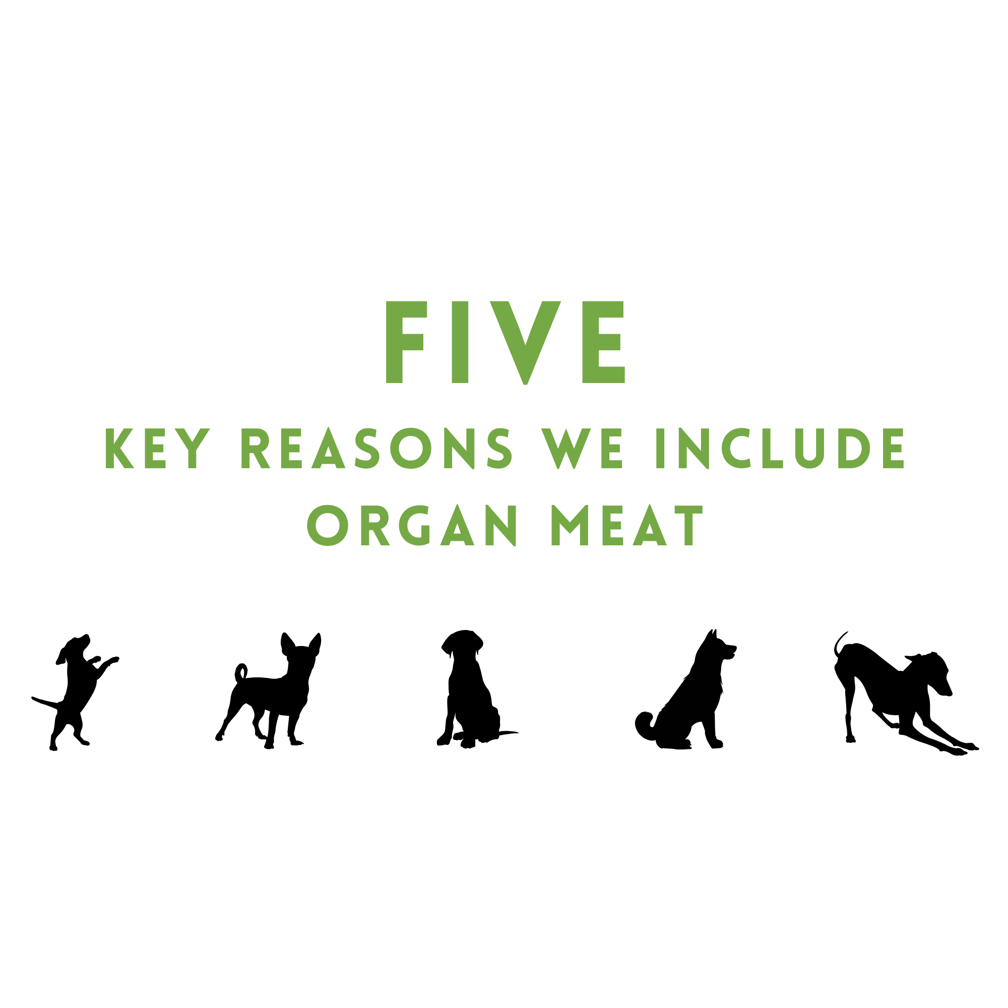 Five Key Reasons We Include Organ Meat