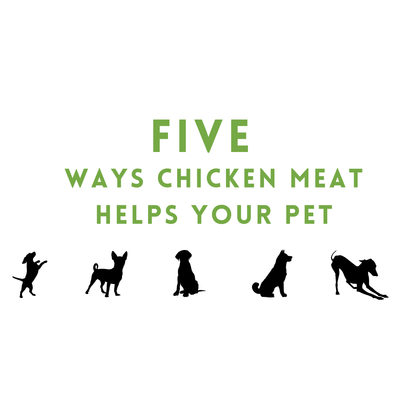 Five Ways Chicken Meat Helps Your Pet