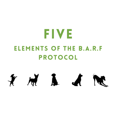 Five Elements of the B.A.R.F Protocol