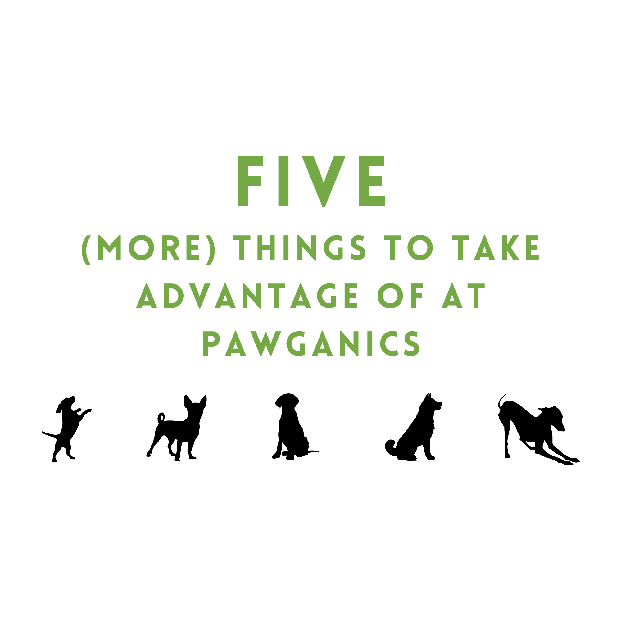 Five (more) things to take advantage of at Pawganics!