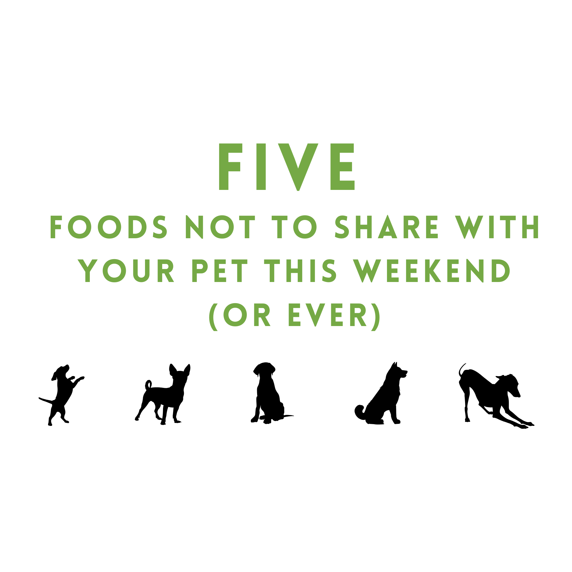 Five Foods Not to Share With Your Pet This Weekend (or ever)