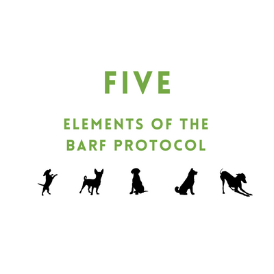 Five Elements of the BARF protocol