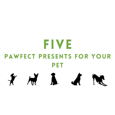 Five Pawfect Presents For Your Pet