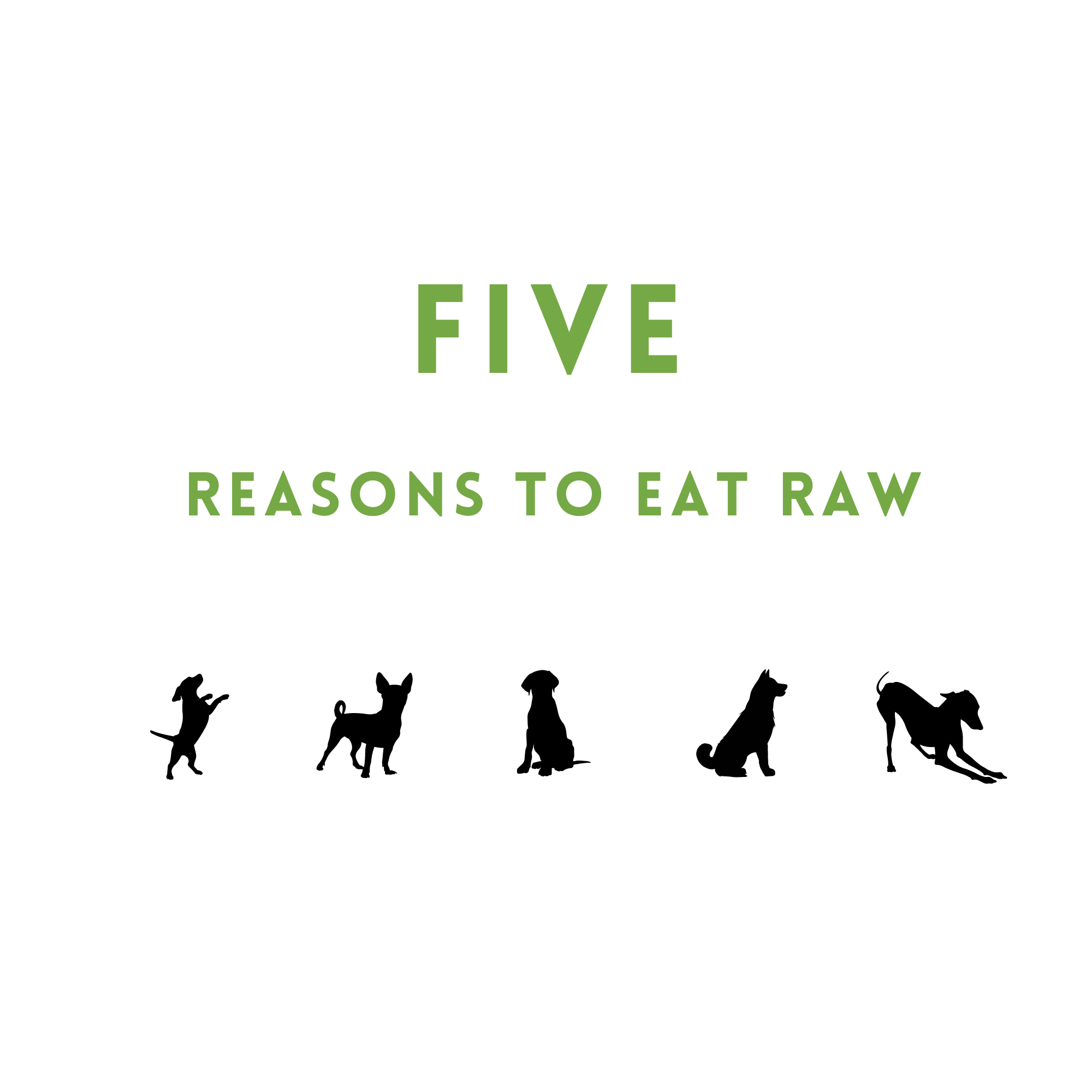 Five Reasons to Eat Raw