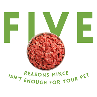 Five Reasons Mince Isn't Enough For Your Pet