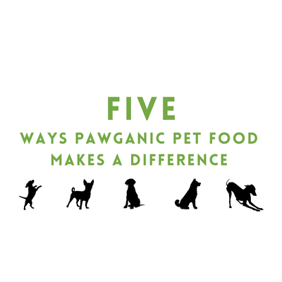 Five Ways Pawganic Pet Food Makes A Difference
