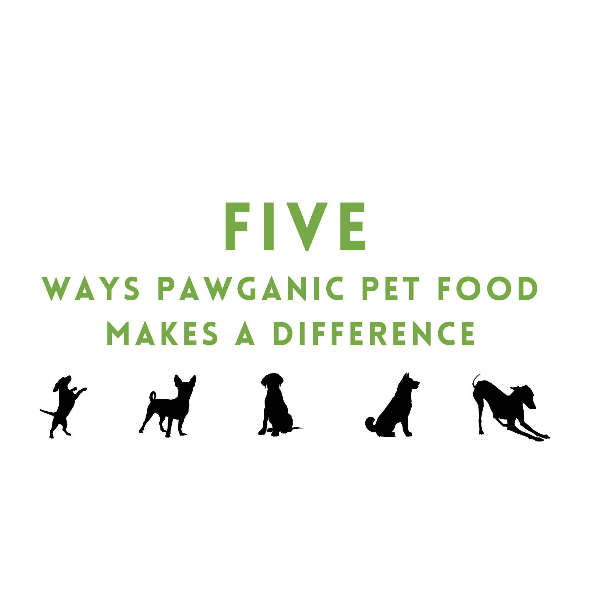 Five Ways Pawganic Pet Food Makes A Difference