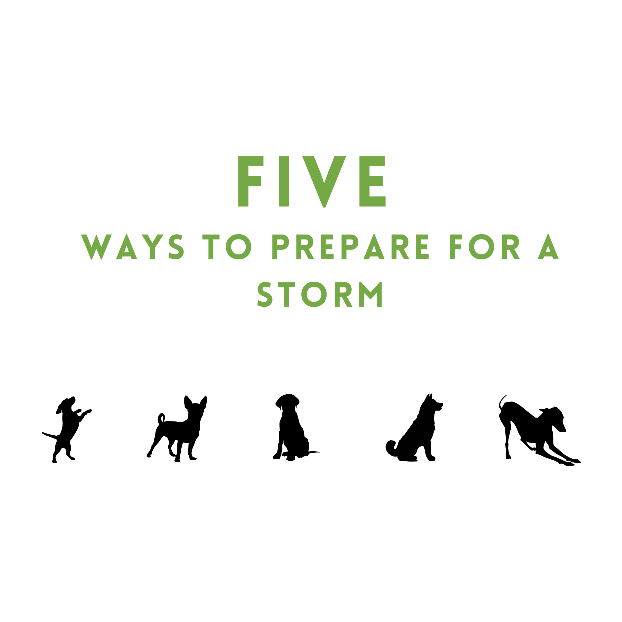 Five Ways to Prepare for A Storm