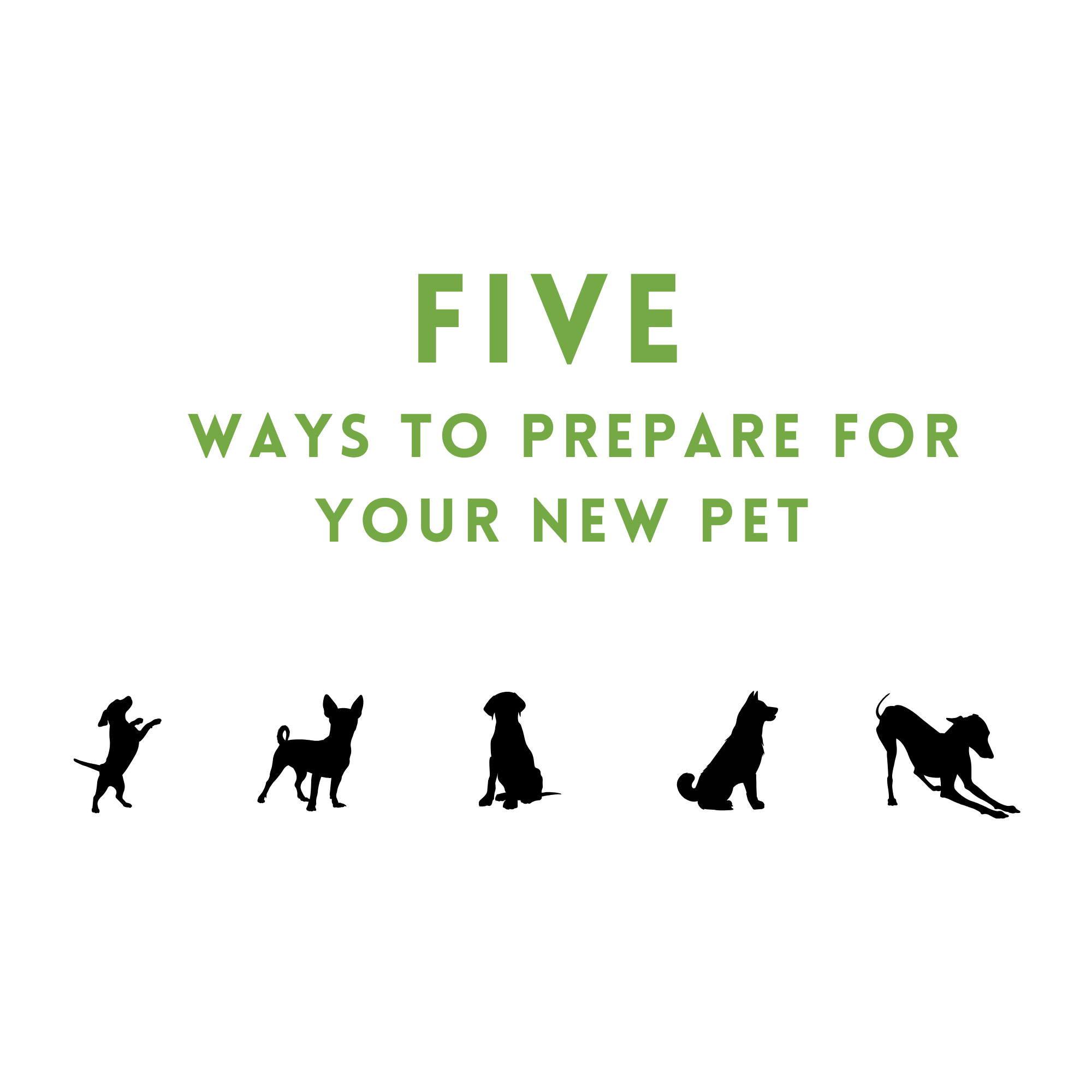 Five Ways to Prepare for your New Pet