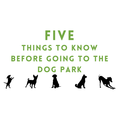 Five Things to Know Before Going to the Dog Park