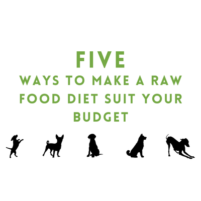 Five Ways a Raw Food Diet Can Suit Your Budget