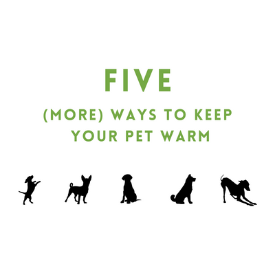 Five (More!) Ways to Keep Your Pet Warm This Winter