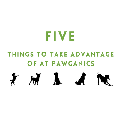 Five Things You Should Take Advantage of at Pawganics