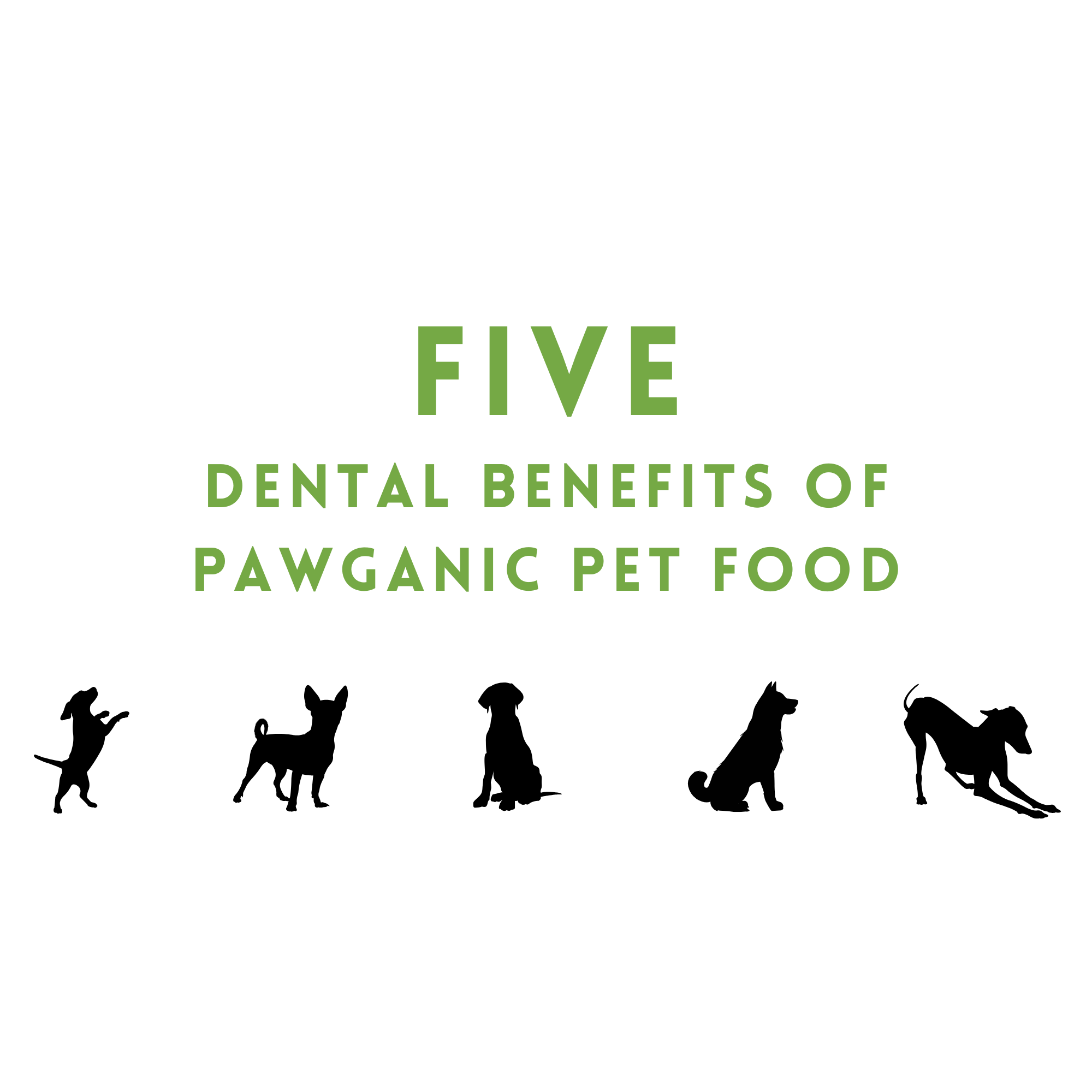 Five Dental Benefits of Pawganic Pet Food