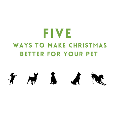 Five Ways To Make Christmas Better For Your Pet