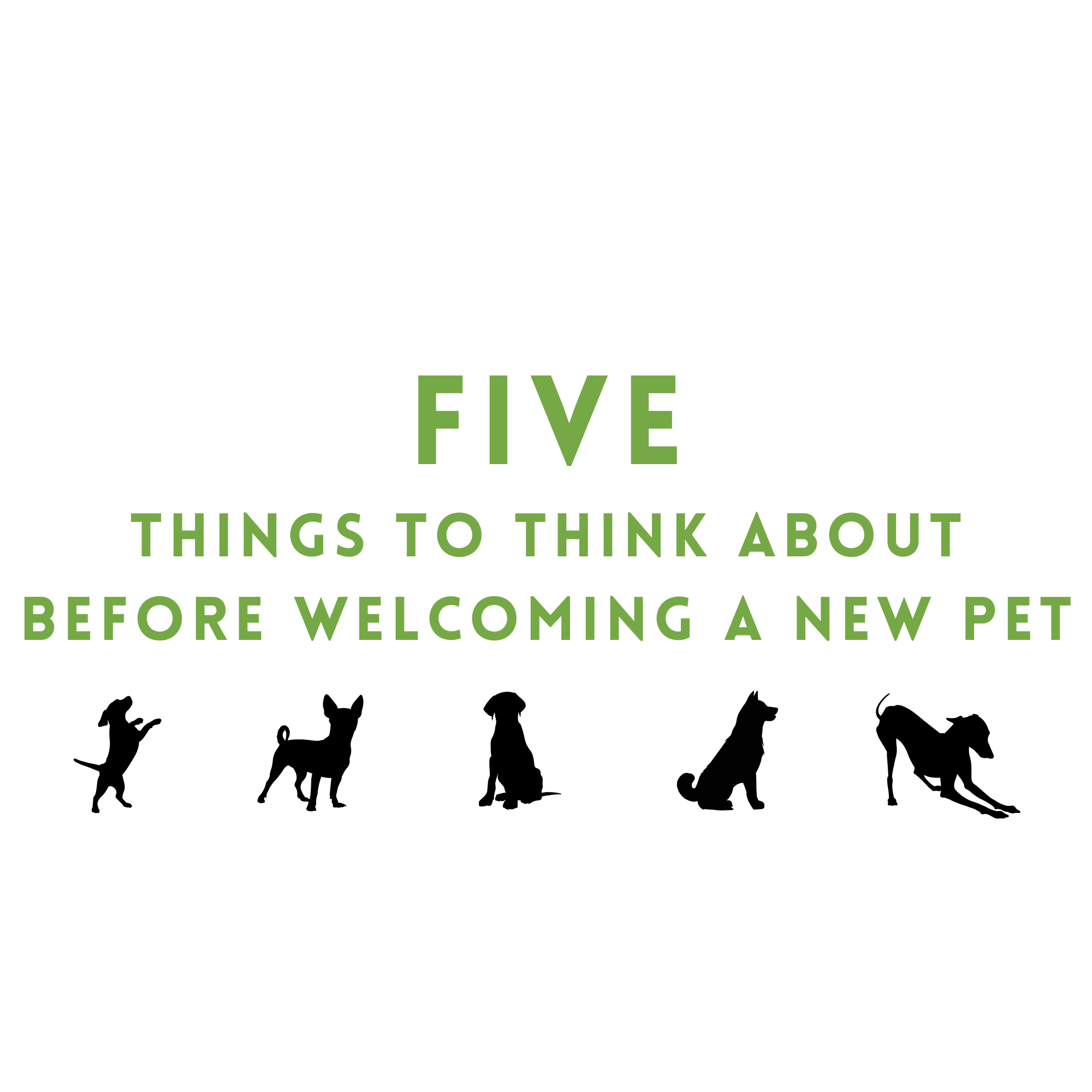 Five Things to Think About Before Welcoming A New Pet
