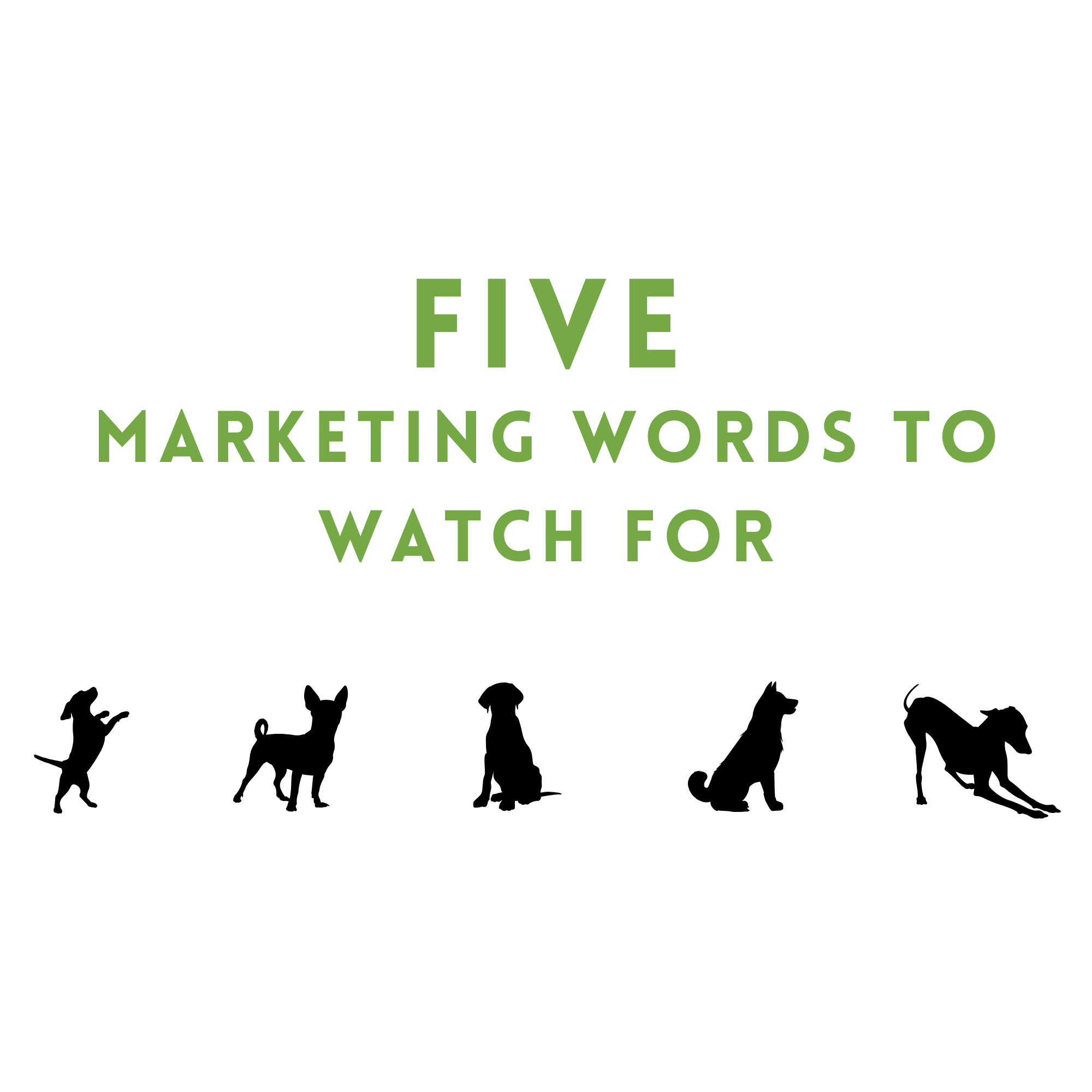 Five Marketing Words to Watch For