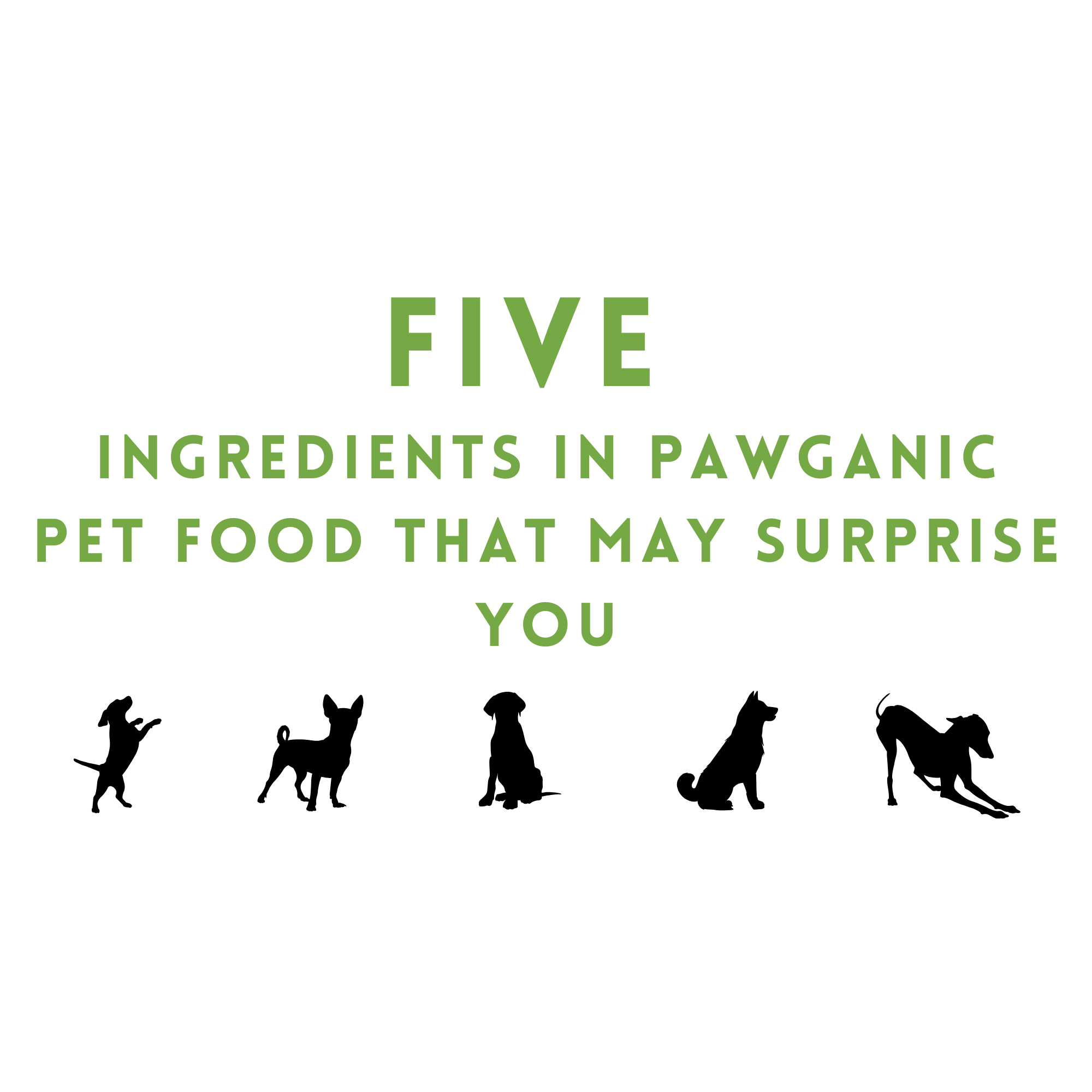 Five Ingredients in Pawganic Pet Food That May Surprise You