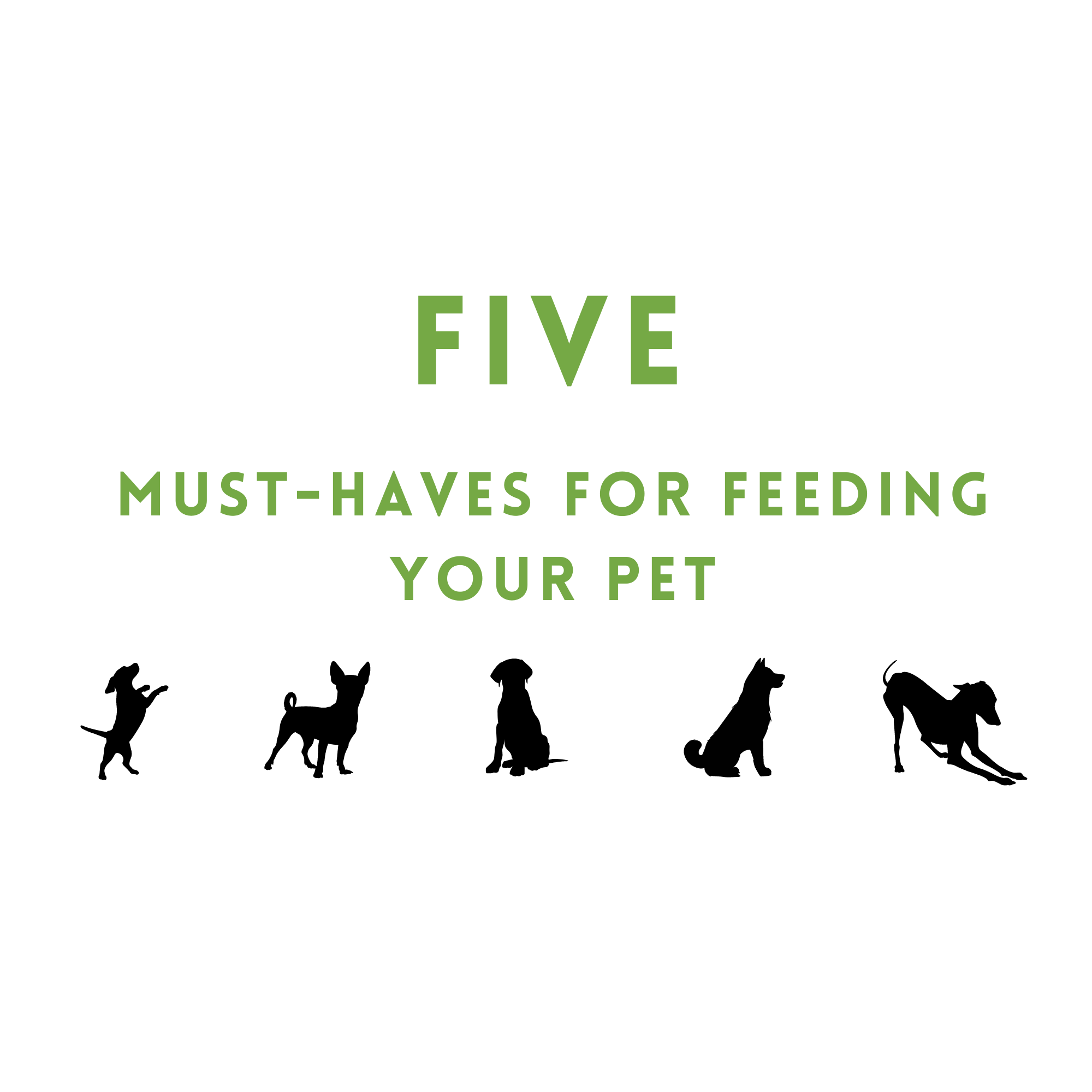 Five Must-Haves for Feeding your Pet