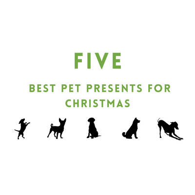 Five Best Pet Presents for Christmas