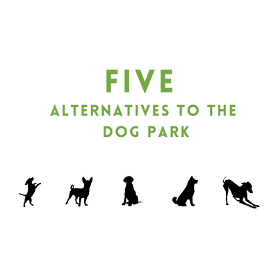 Five Alternatives to the Dog Park