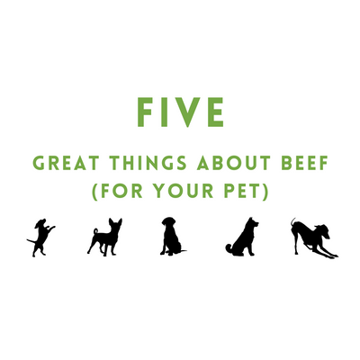 The blog title with silhouettes of five dogs