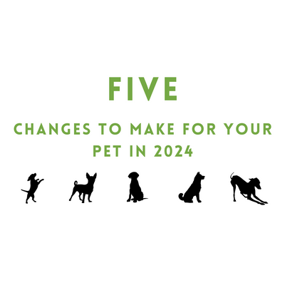 Five Changes to Make for Your Pet in 2024