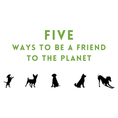 Five Ways to Be a Friend to the Planet
