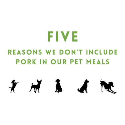 Five Reasons We Don't Include Pork in Our Pet Meals