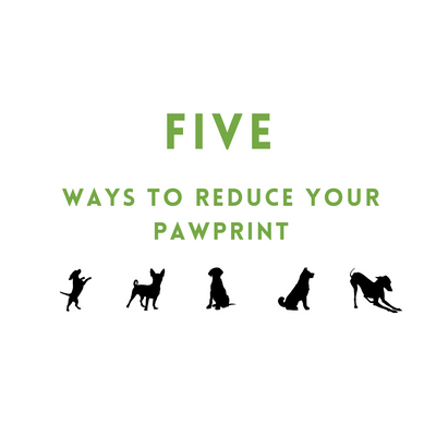 Five Ways to Reduce Your PawPrint