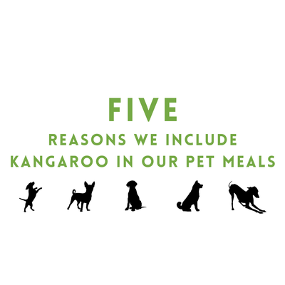 Five Reasons We Include Kangaroo in our Pet Meals