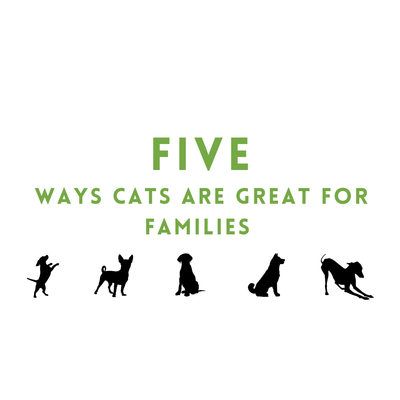Five Ways Cats are Great for Families