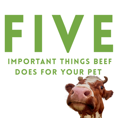 Five Important Things Beef Does For Your Pet