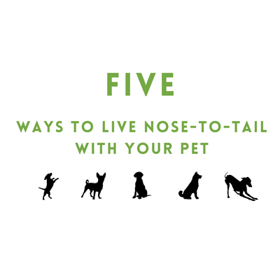 Five Ways to Live Nose-to-Tail with your Pet