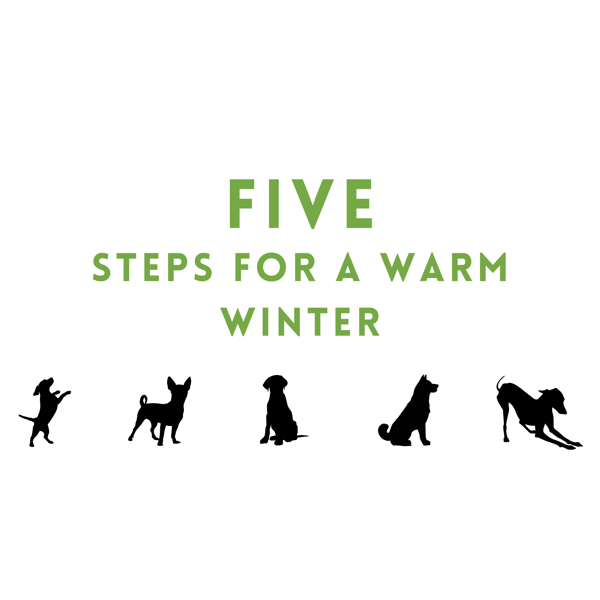 Five Steps For a Warm Winter
