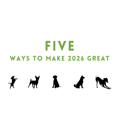 Five Ways to Make 2026 Great