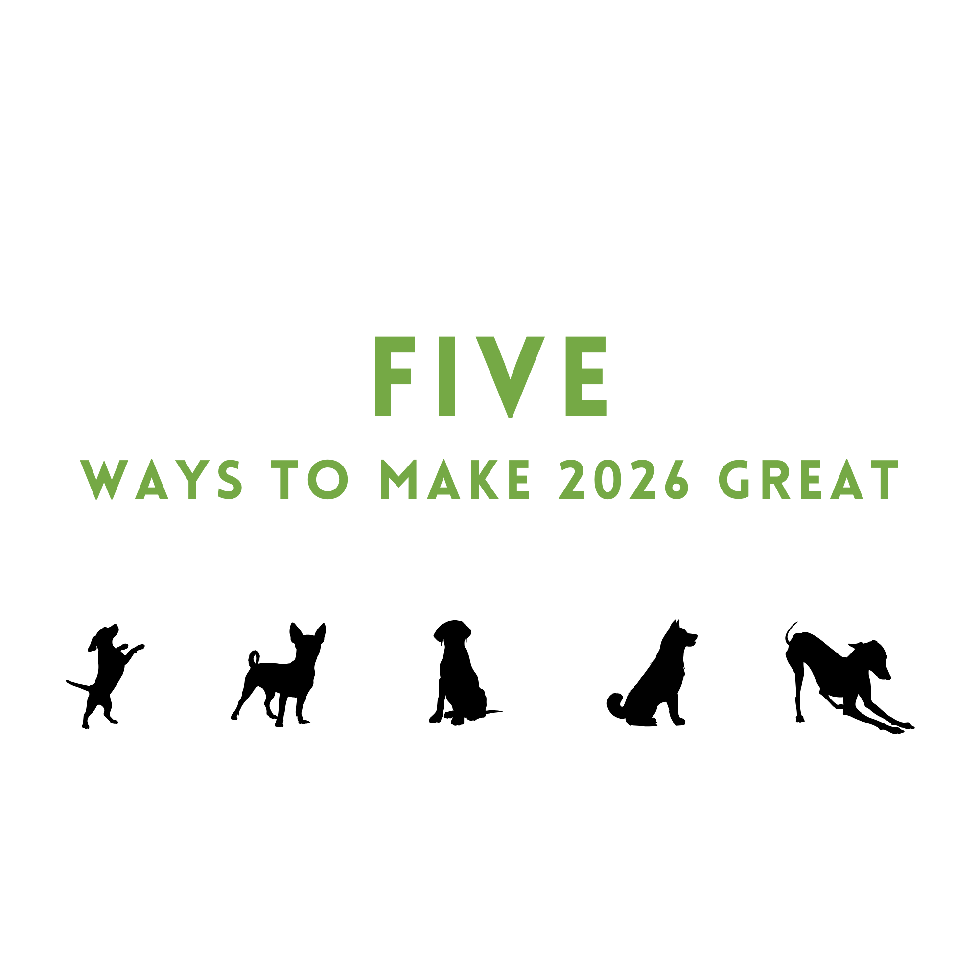 Five Ways to Make 2026 Great