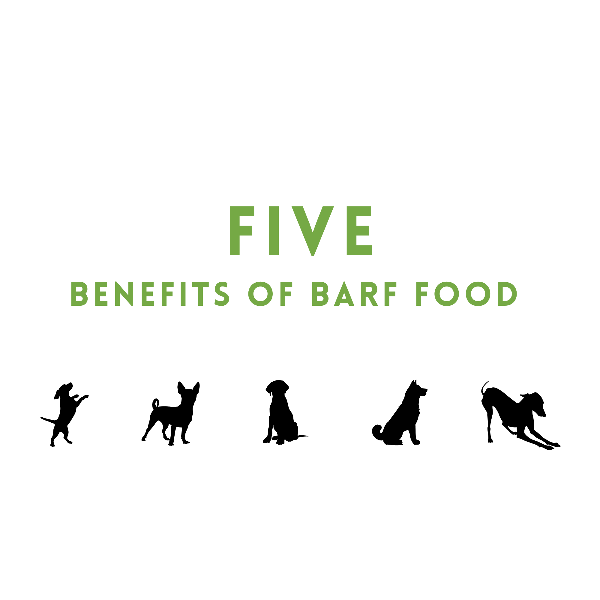 Barf Signs Five Benefits of BARF Food – Pawganic Pet Food