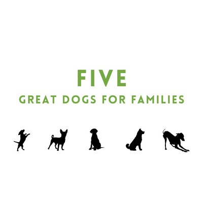 Five Great Dogs for Families