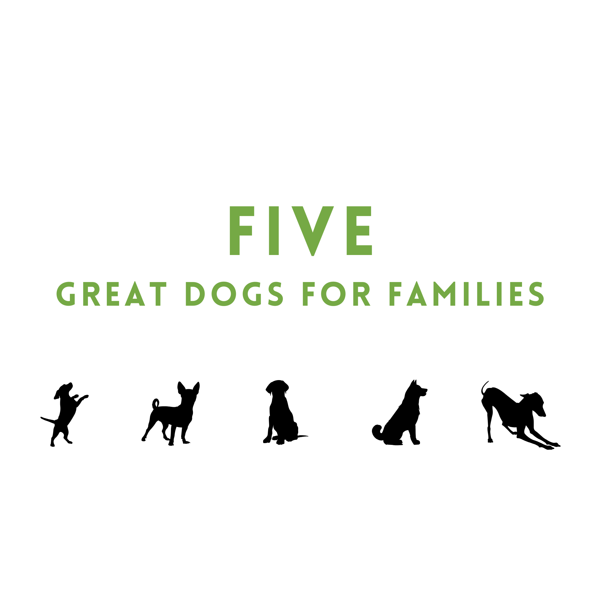 Five Great Dogs for Families